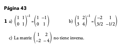 Actividad 1, página 43